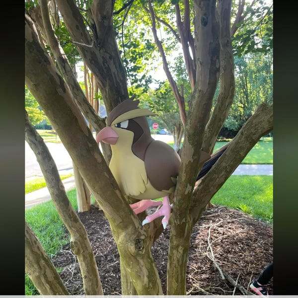 Life size 1:1 1 ft Pokemon #0016 Pidgey bust statue figure by 3dCurioPrints