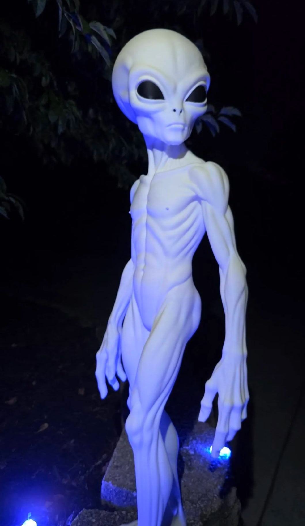 3ft Alien them 1947 version roswell by 3dCurioPrints