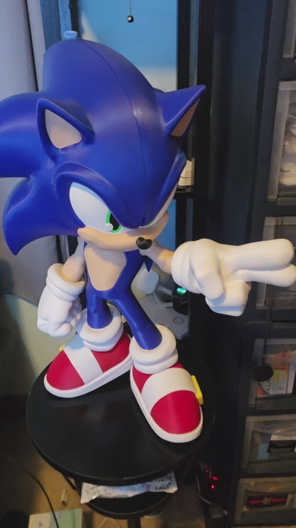 18" tall 14" wide 10 thick big blue hedgehog