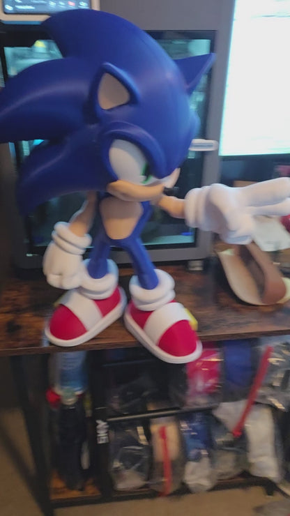 18" tall 14" wide 10 thick big blue hedgehog