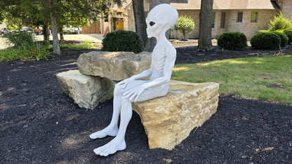 5 Ft Roswell Alien Prop Figure Horror Decor Collectible Medical Prop by 3dCurioPrints