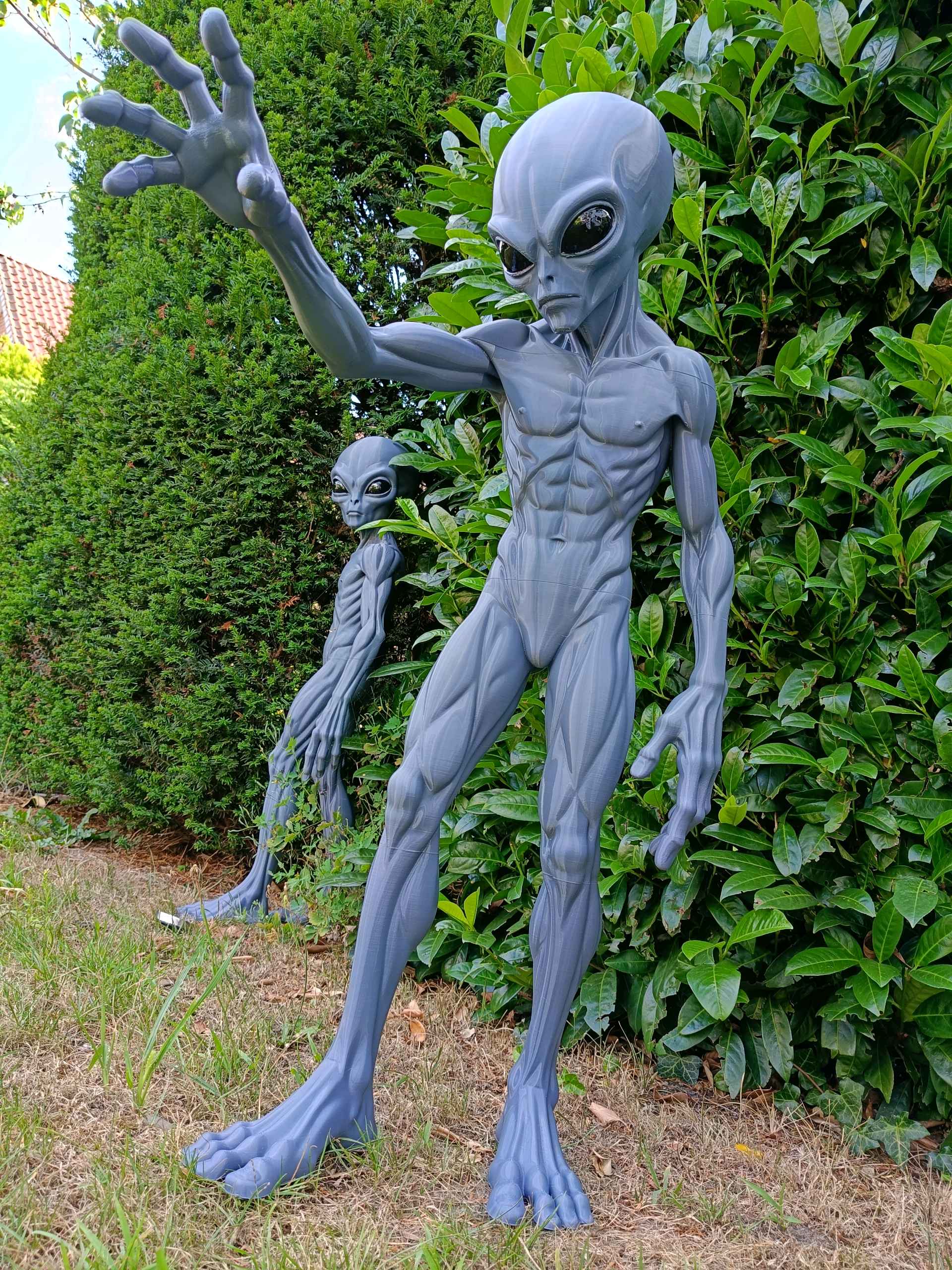 3 Ft Alien Medical Prop Inspired By 1947 Roswell Incident Sci Fi Horror Decor by 3dCurioPrints