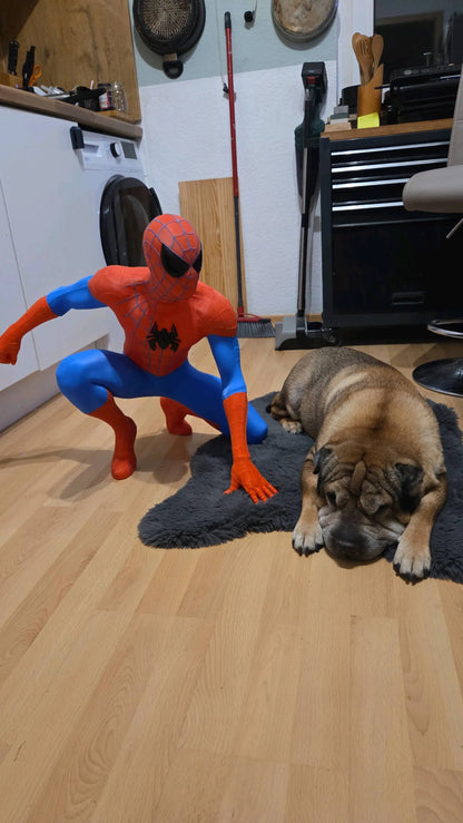 16" 1ft 4in Spiderman due to shape arm and leg glued on your end by 3dCurioPrints