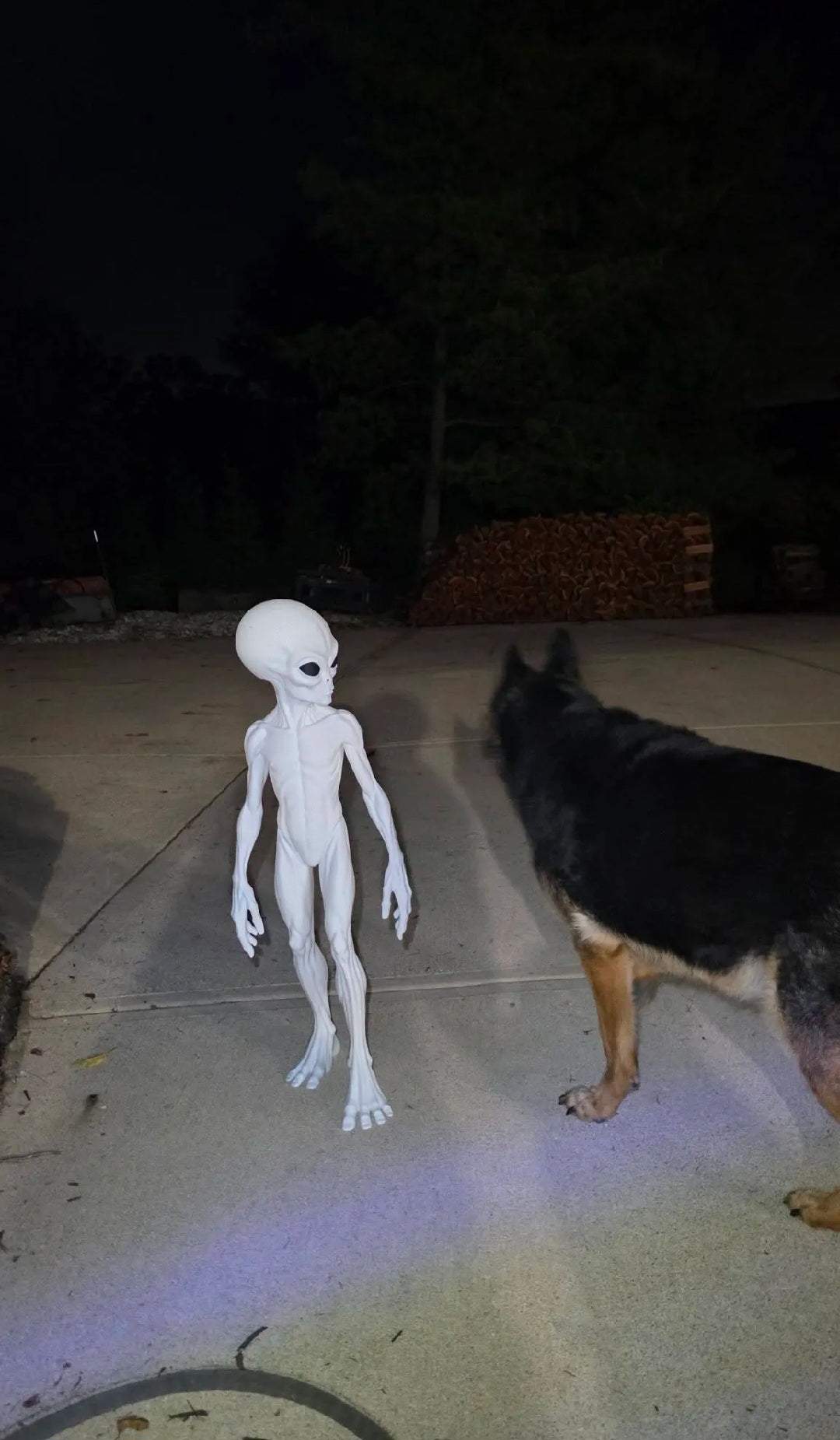 3ft Alien them 1947 version roswell by 3dCurioPrints