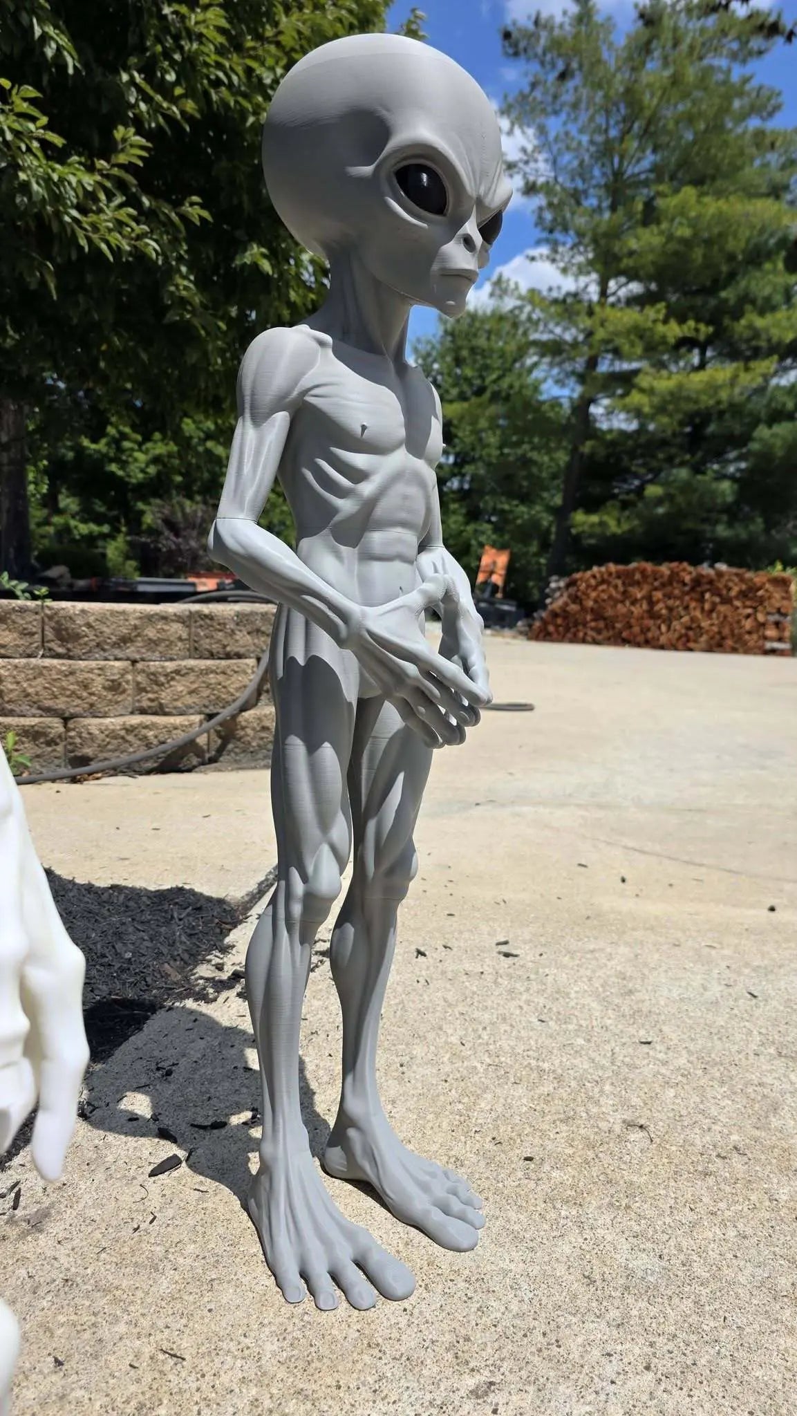3 Ft Alien the Leader Prop Inspired By 1947 Roswell Incident by 3dCurioPrints