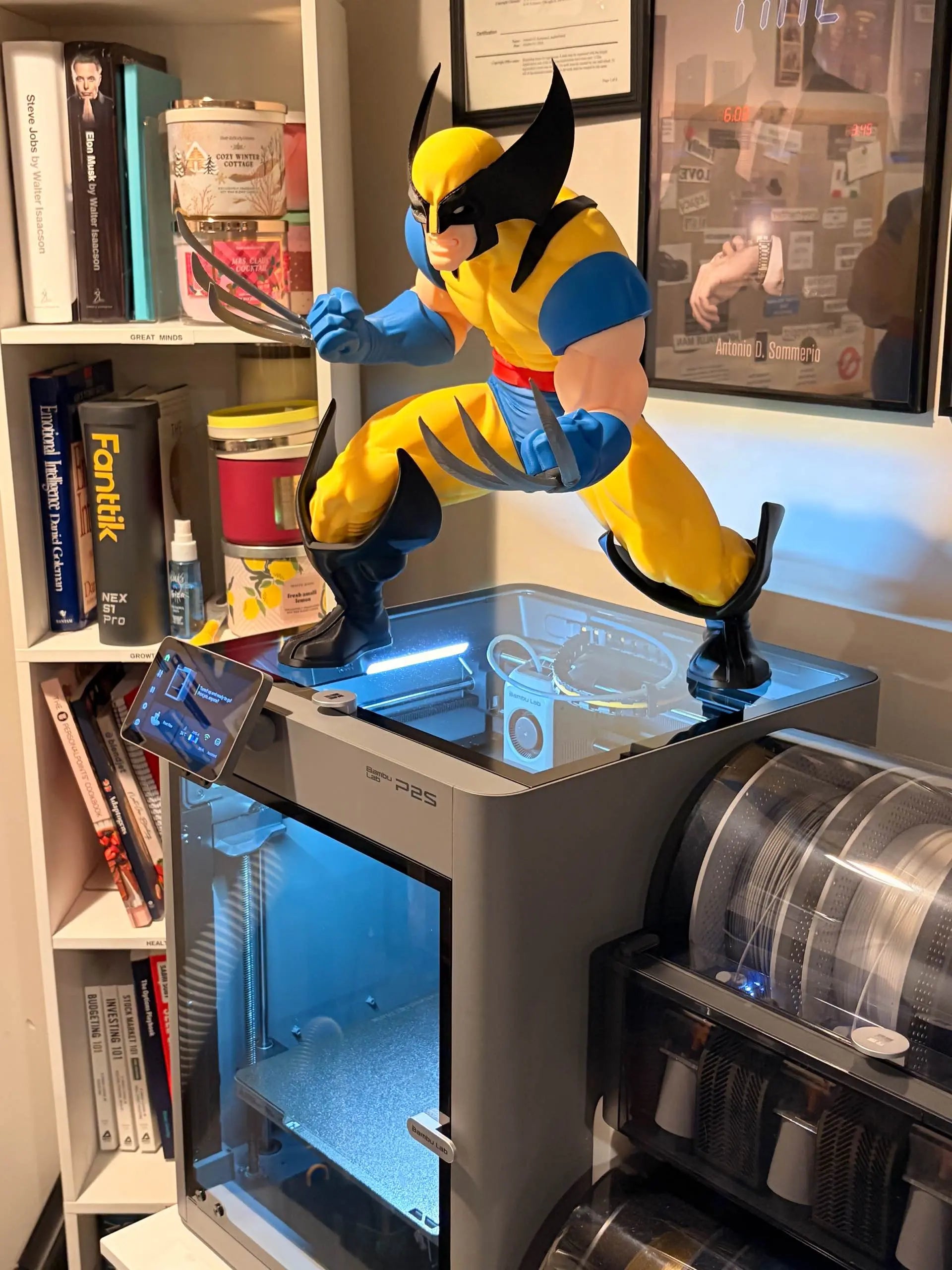 21" 1ft 9in Wolverine due to shape some gluing requred your end 6 walls quality piece by 3dCurioPrints