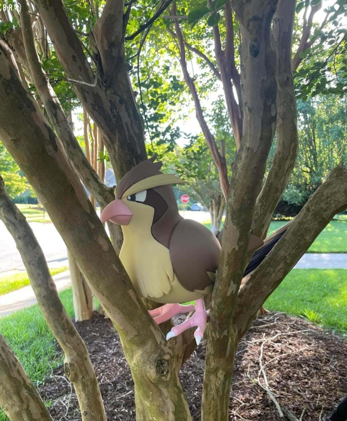 Life size 1:1 Pidgey anime bust statue, true-to-scale collectible display