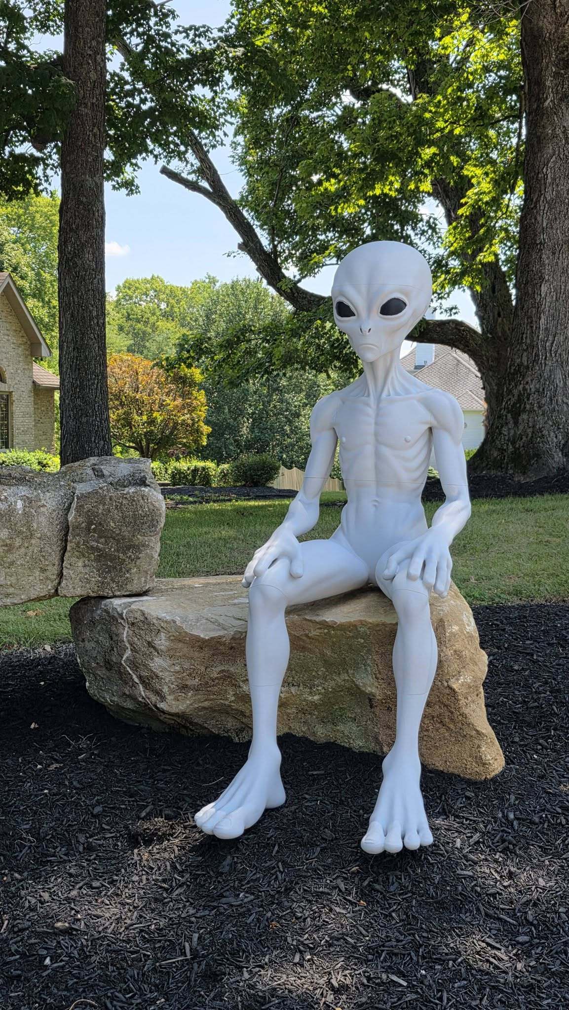 5 Ft Roswell Alien Prop Figure Horror Decor Collectible Medical Prop by 3dCurioPrints