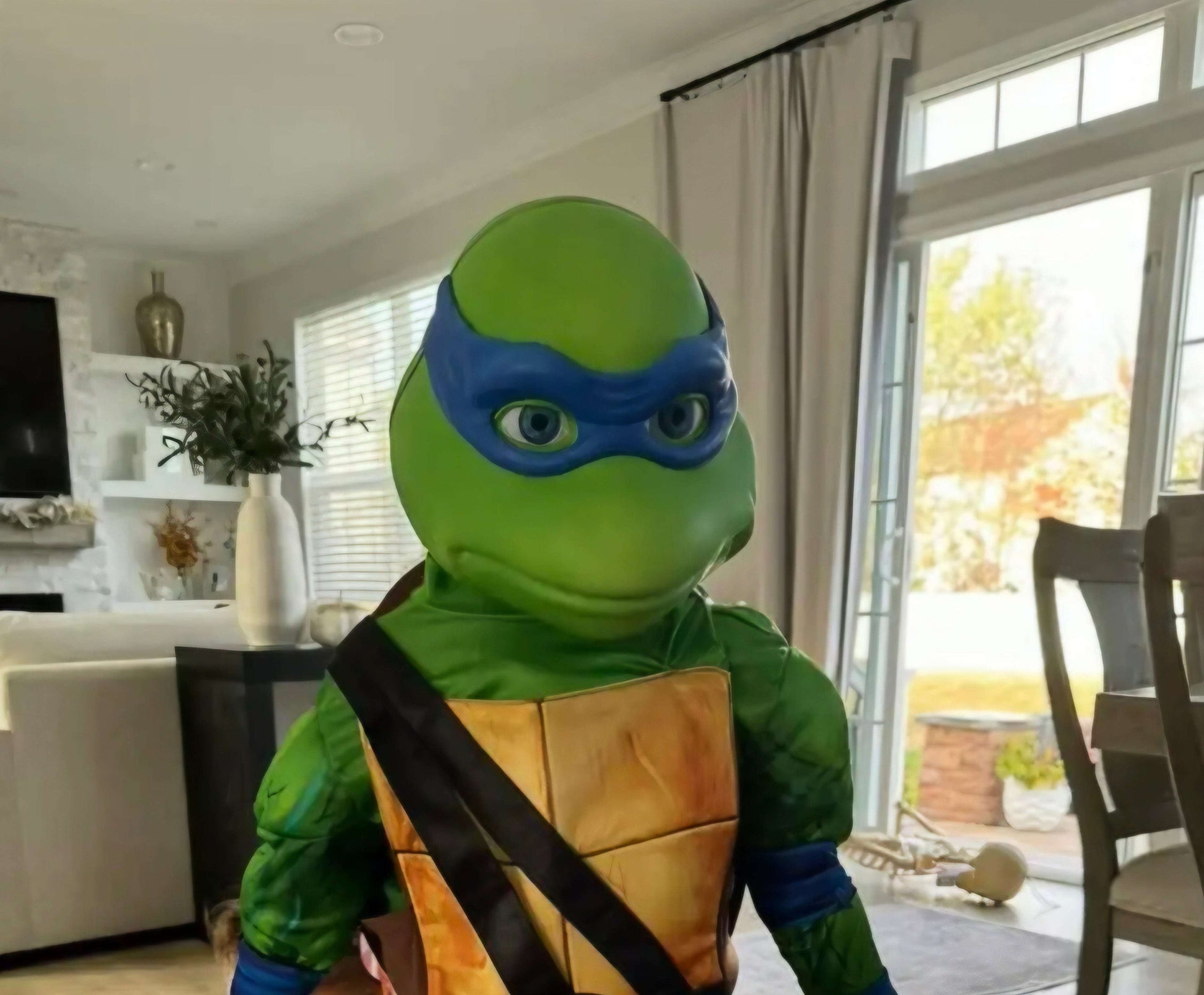 TMNT Leonardo helmet mask with white eyes, full size with magnets, adult fit