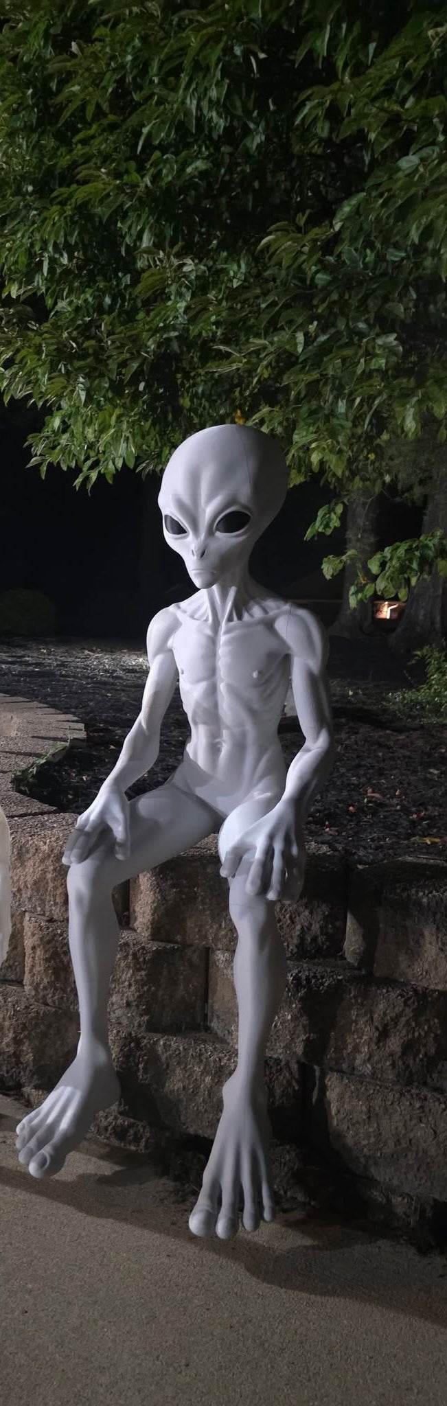 5 Ft Roswell Alien Prop Figure Horror Decor Collectible Medical Prop by 3dCurioPrints