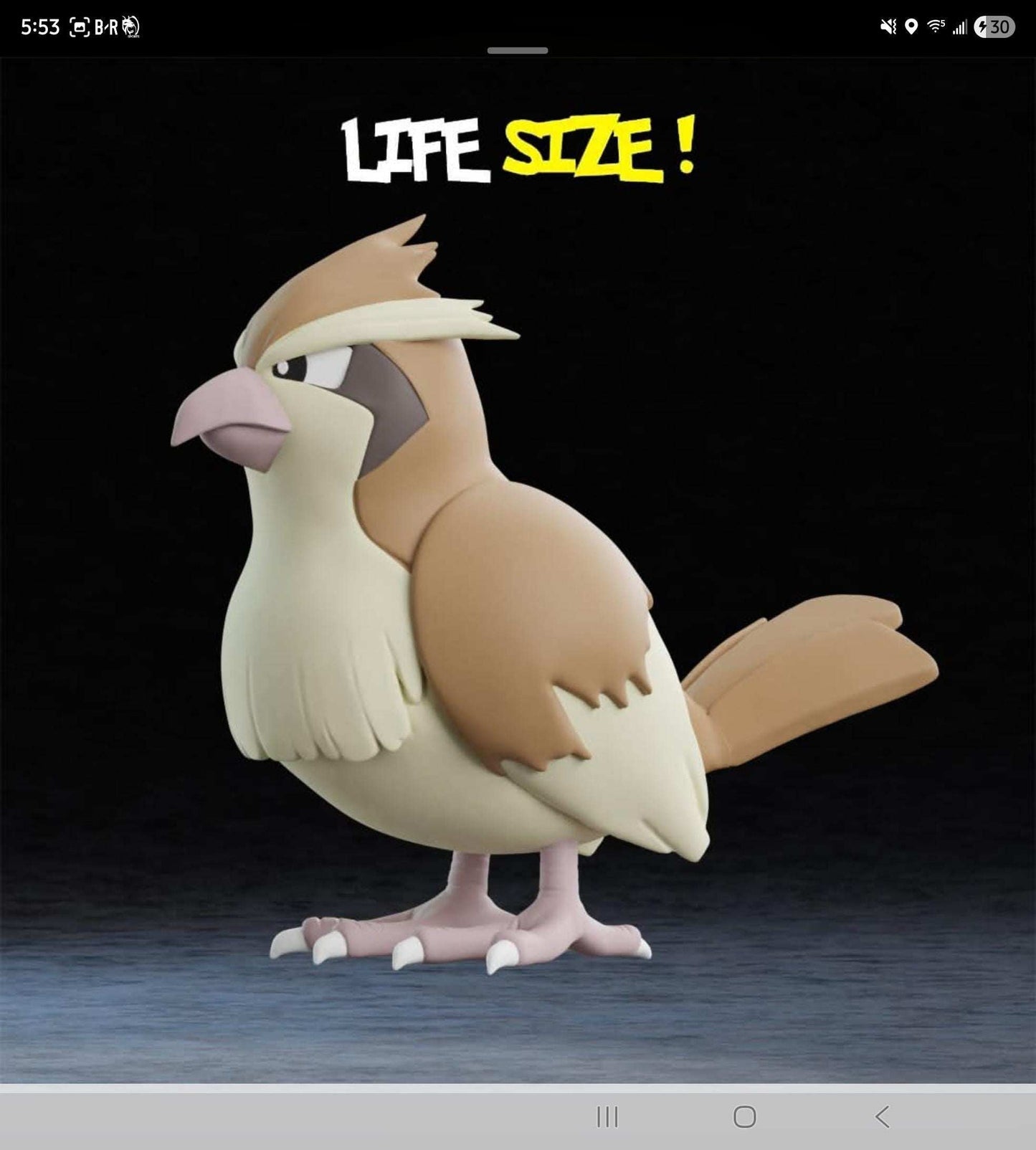 Life size 1:1 1 ft Pokemon #0016 Pidgey bust statue figure by 3dCurioPrints
