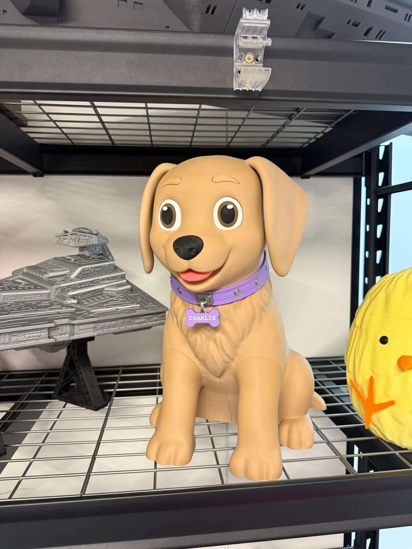 20" customizable large dog folder labrador retriever you pick name and collar color by 3dCurioPrints