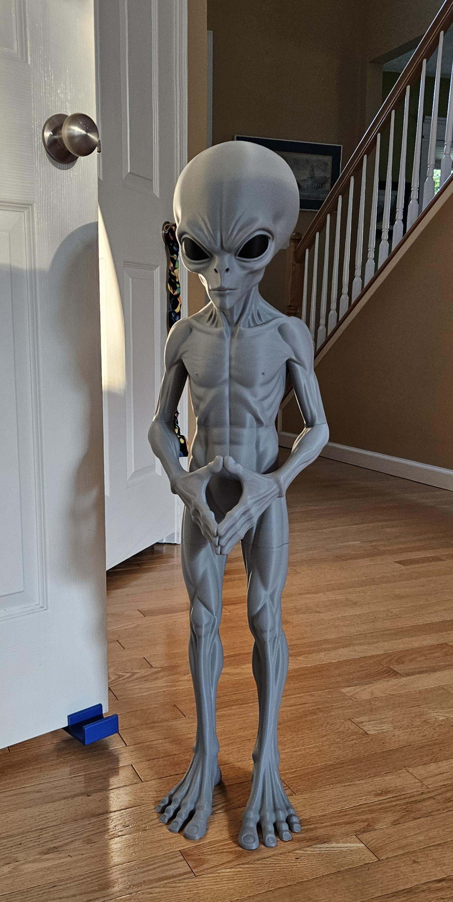 3 Ft Alien the Leader Prop Inspired By 1947 Roswell Incident by 3dCurioPrints
