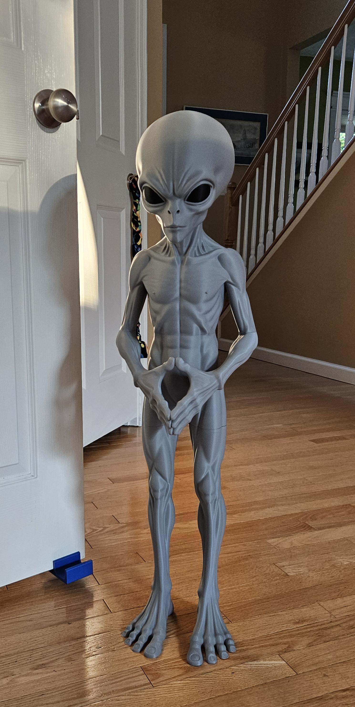 3 Ft Alien the Leader Prop Inspired By 1947 Roswell Incident by 3dCurioPrints